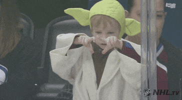 May The Fourth Be With You Star Wars GIF by NHL
