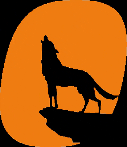 agenciawolfi marketing wolfi agenciawolfi GIF