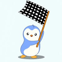 Lets Go GIF by Pudgy Penguins