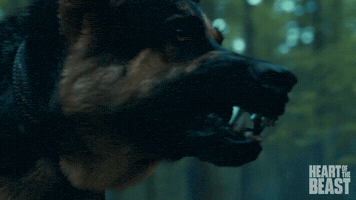 Paramount Pictures Angry Face GIF by Heart of the Beast