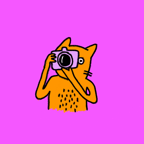 Giphy - Cat Click GIF by Kochstrasse™