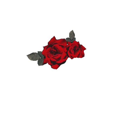 Animated Sticker
