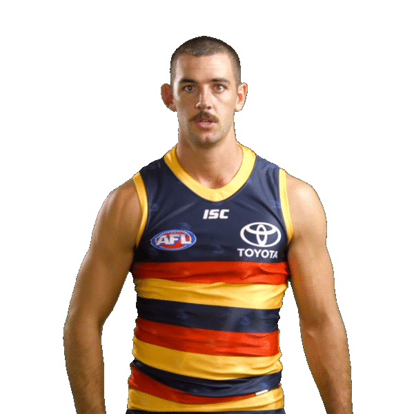 Stickers Afl Sticker by Adelaide Crows for iOS & Android GIPHY