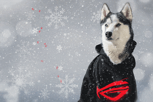 Merry Christmas Dog GIF by ASUS Republic of Gamers Deutschland