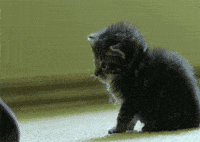 Waste-free-period GIFs - Get the best GIF on GIPHY