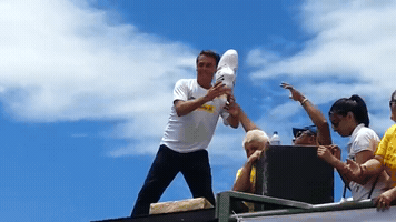 Bolsonaro Boneco Lula GIF