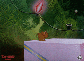 Merry Christmas GIF by Boomerang Official