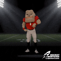 Quicken Loans Win GIF by Rocket Mortgage