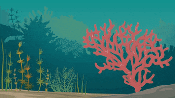 Climate Change Water GIF by PBS Digital Studios