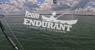 Lawn Care GIF by ENDURANT TURF PAINT