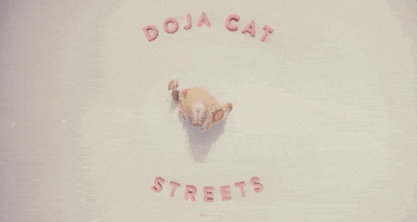 Streets GIF by Doja Cat