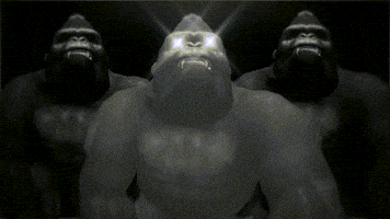 video art monkey GIF by limeartgroup