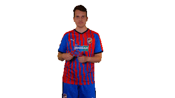 Fcvpesport Sticker by FCVP