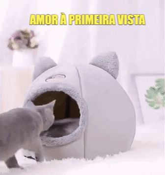 Toca Para Gatos GIF