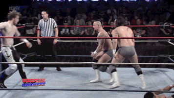 Pro Wrestling Pain GIF by United Wrestling Network