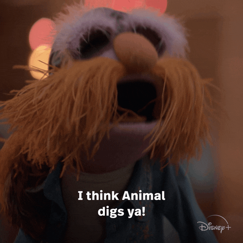 Happy The Muppets GIF by ABC Network