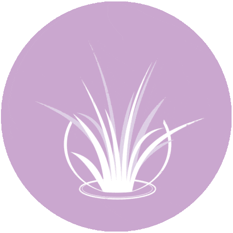 Airplantshop.nl Sticker