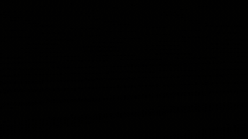 GIF by Sven Andrew