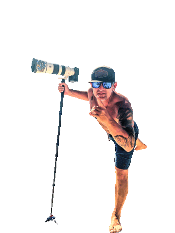 Surf Sony Sticker by Nauti Bean Coffee