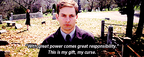 Image result for with great power comes great responsibility gif