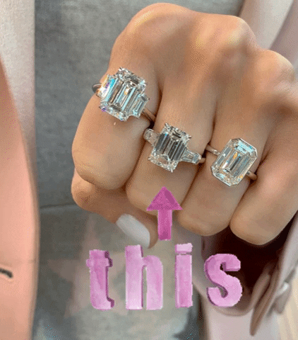 Stephanie Gottlieb GIF