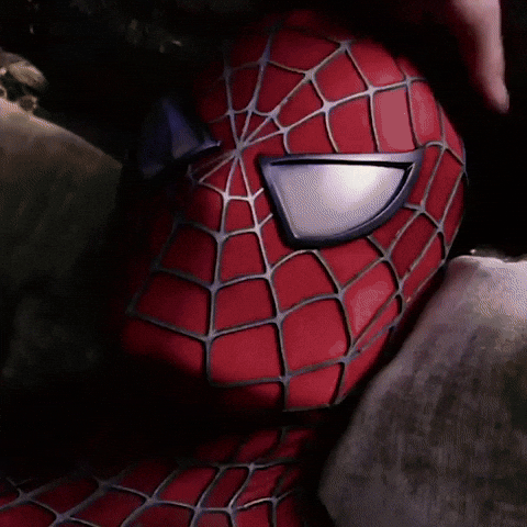 Spider-Man Man GIF by The Gregory Brothers