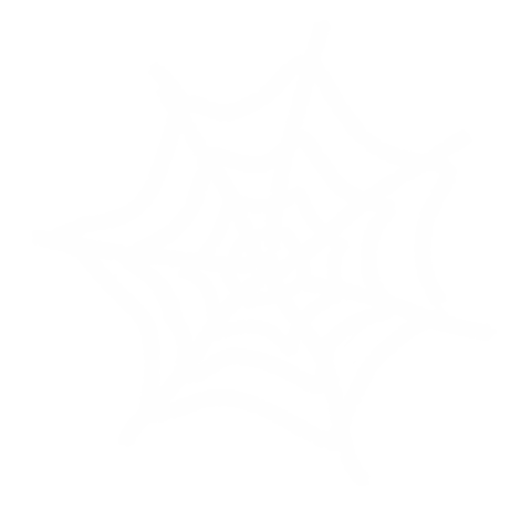 Spider Web Halloween Sticker by Fluffy the Thunder God 雷神阿毛