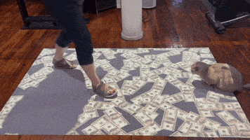Cat Money GIF by LUMOplay