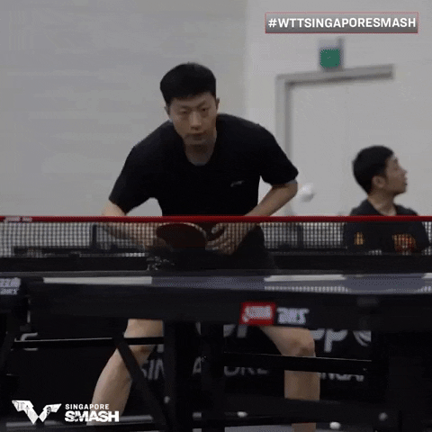 Table Tennis GIF by ITTFWorld