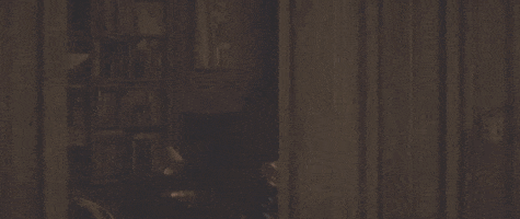 Sean Connery GIF by swerk