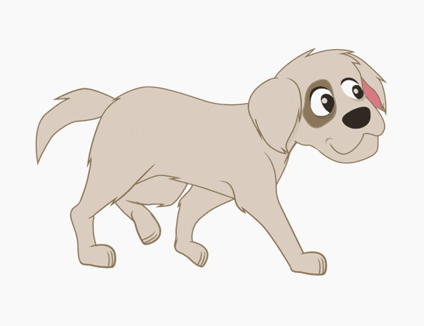 dog GIF