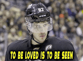 Pittsburgh Penguins GIF