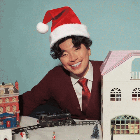 Christmas GIF by New 11