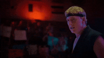 Cobra Kai GIF