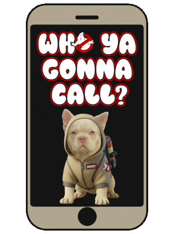 Ghost Dna Sticker by OKC Frenchies