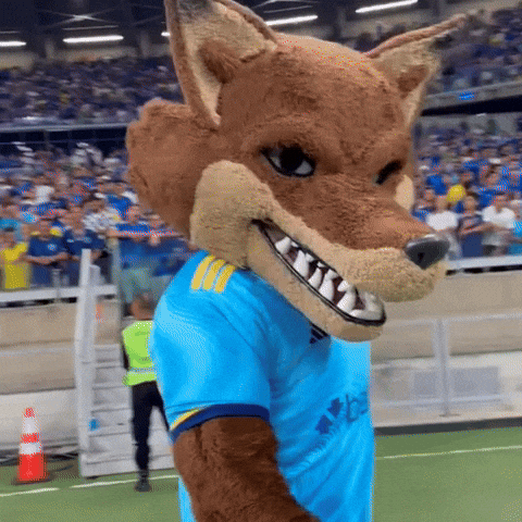 Futebol Mascote GIF by Cruzeiro Esporte Clube