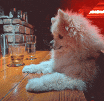 Hungry Puppy GIF by Munjo Munjo