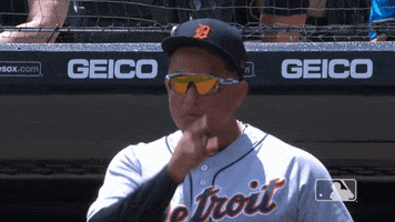 Major League Baseball Reaction GIF by Detroit Tigers