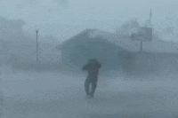 Hurricane Ian GIFs - Find & Share on GIPHY