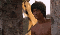 Bruce-lee-meme GIFs - Get the best GIF on GIPHY Bruce-lee-meme GIFs - Get the best GIF on GIPHY