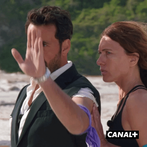 Au Revoir Humour GIF by CANAL+