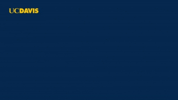 Zoom Background GIF by UC Davis