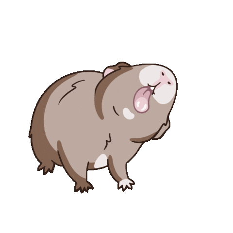 Guineapig Sticker