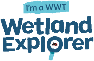 Summer Adventure Sticker