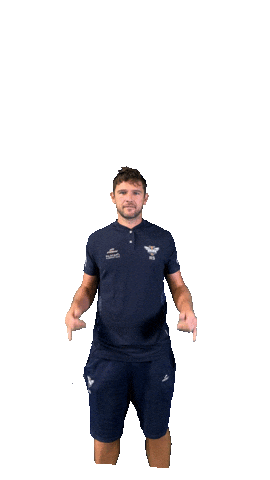 ASI Volley Sticker