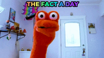 Happy Dance Party GIF by The Fact a Day