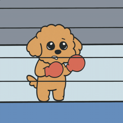Pon GIF