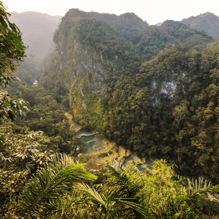 Ian Schenkel Of Newport Beach GIF