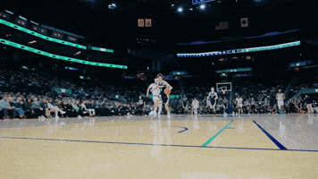 Davis Gonzaga GIF by zagsgotdudes