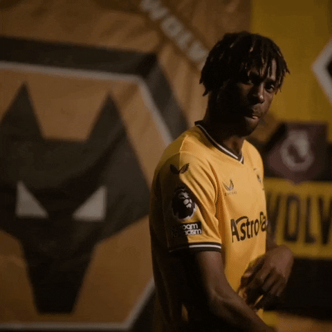 Brushing Premier League GIF by Wolves